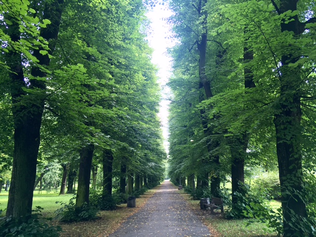 ポーランドの緑豊かな公園